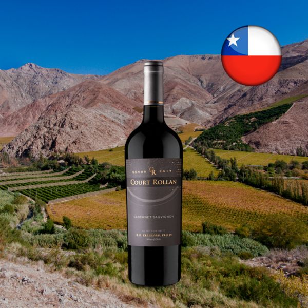 Court Rollan Genus D.O. C. V. Cabernet Sauvignon 2017 - Oferta