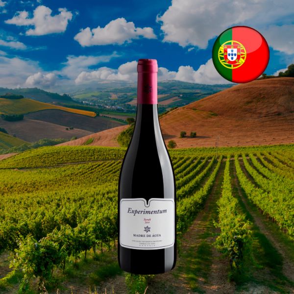 Experimentum Syrah 2018 - Oferta