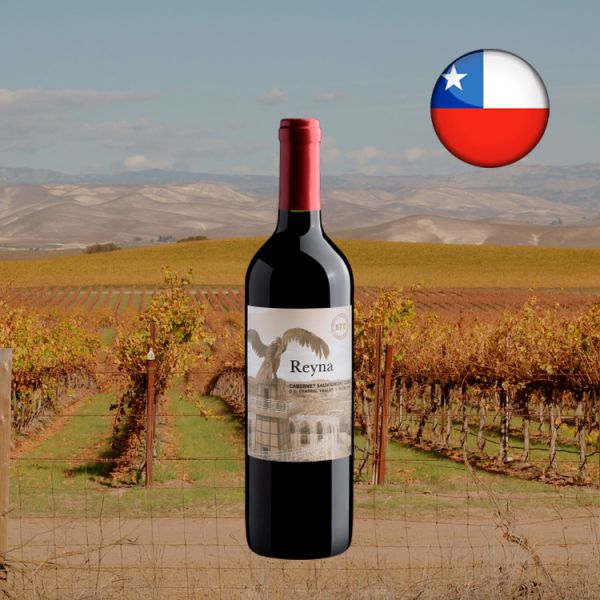 Reyna Cabernet Sauvignon Central Valley D.O. 2020 - Oferta