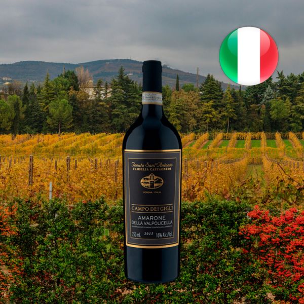 Tenuta SantAntonio Campo dei Gigli D.O.C.G. Amarone della Valpolicella - Oferta