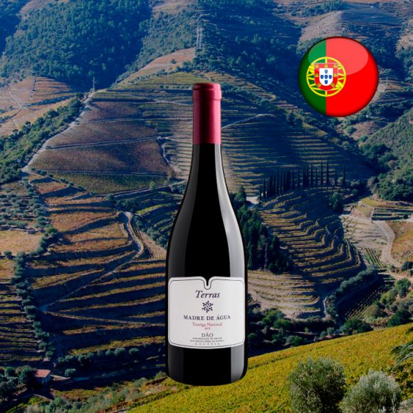 Terras Madre de Água Touriga Nacional Dão D.O. 2019 - Oferta