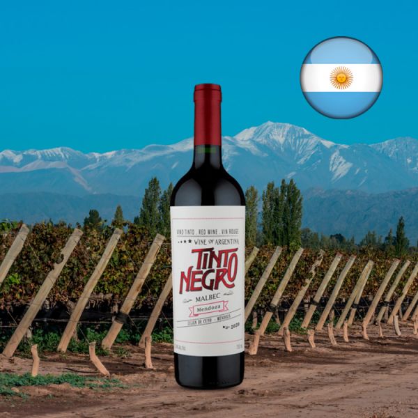 Tinto Negro Malbec Mendoza 2020 - Oferta