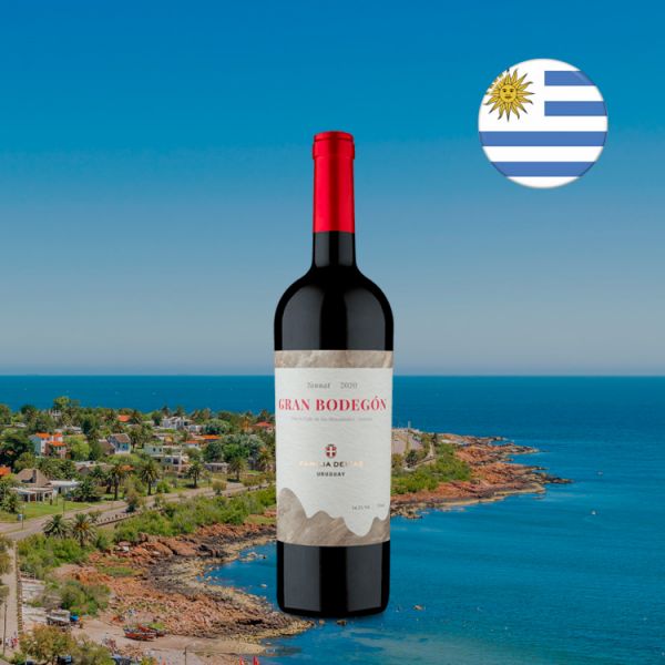 Viñedo Valle de Los Manantiales Gran Bodegón Tannat 2020 - Oferta
