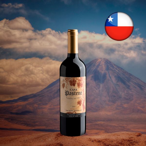 Casa Pastene Syrah Central Valley D.O. 2021 - Oferta