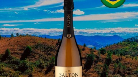 Espumante Salton Prosecco Brut - Oferta