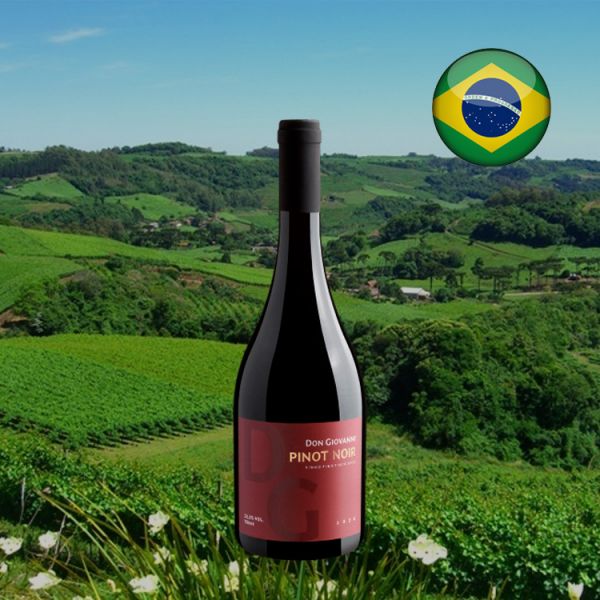 Pinot Noir Don Giovanni 2020 - Oferta