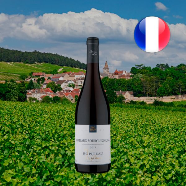 Ropiteau Frères A.O.C. Coteaux Bourguignons 2019 - Oferta