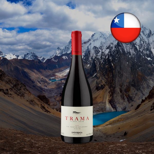 Trama D.O. Valle de San Antonio Pinot Noir 2017 - Oferta