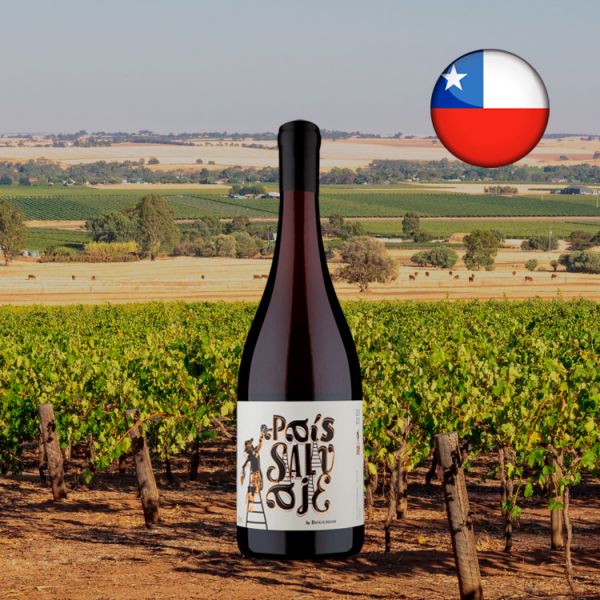 Viña Bouchon País Salvaje 2020 - Oferta
