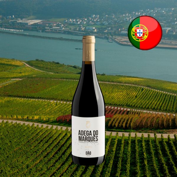Adega do Marquês Tinto Dão DOC - Oferta
