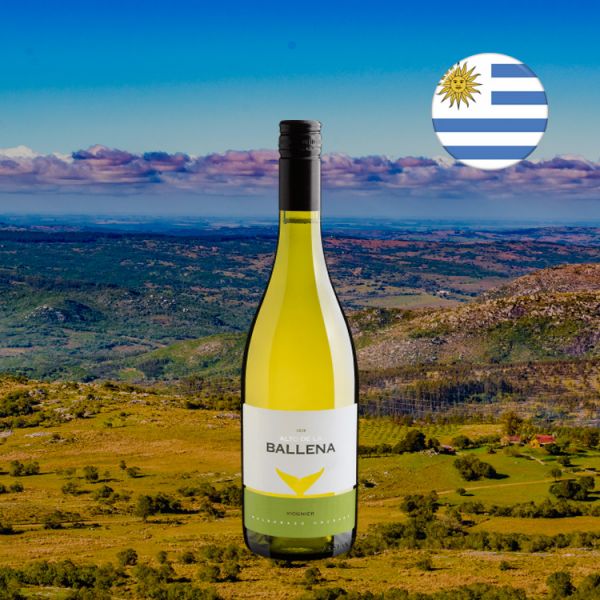 Alto De La Ballena Viognier 2020 - Oferta