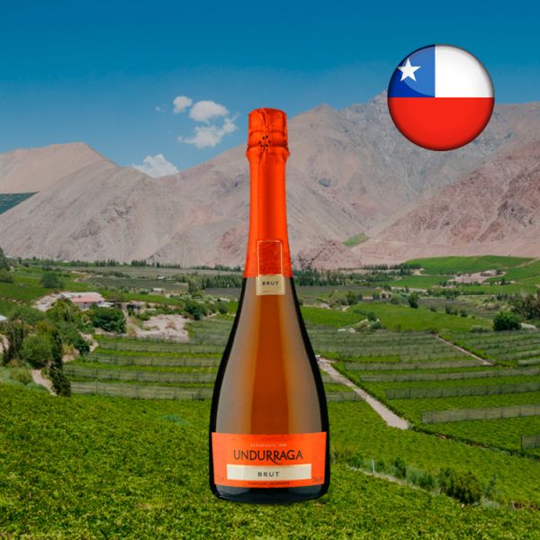 Espumante Undurraga Brut - Oferta