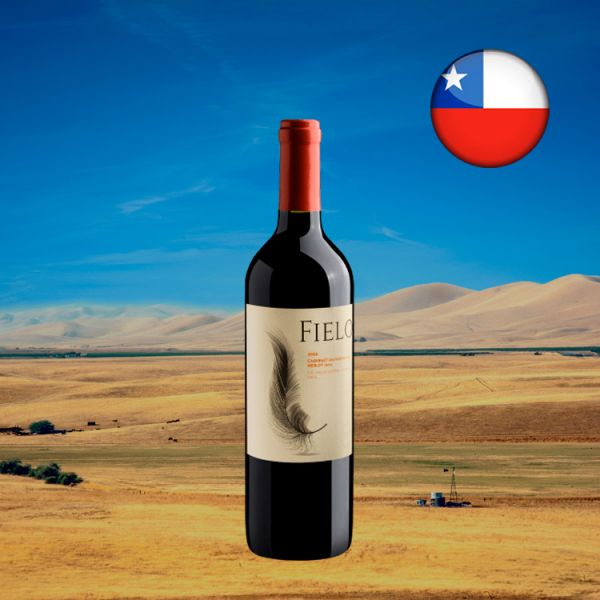 Fielo Cabernet Sauvignon-Merlot Valle Central D.O. 2020 - Oferta
