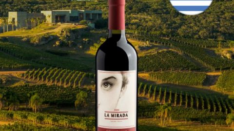 La Mirada Cabernet Sauvignon Canelones 2020 - Oferta