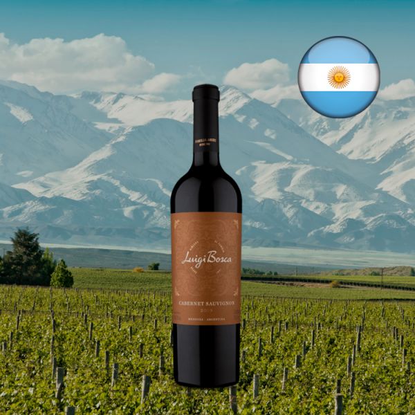 Luigi Bosca Cabernet Sauvignon 2019 - Oferta