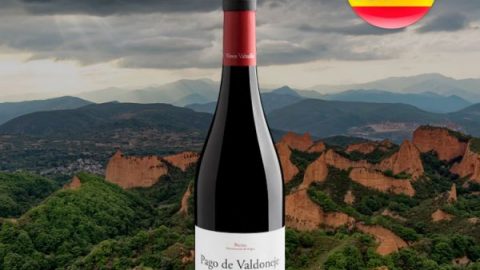 Pago de Valdoneje Mencía Bierzo D.O. 2019 - Oferta