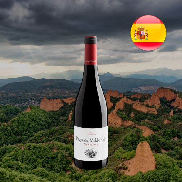 Pago de Valdoneje Mencía Bierzo D.O. 2019 - Oferta