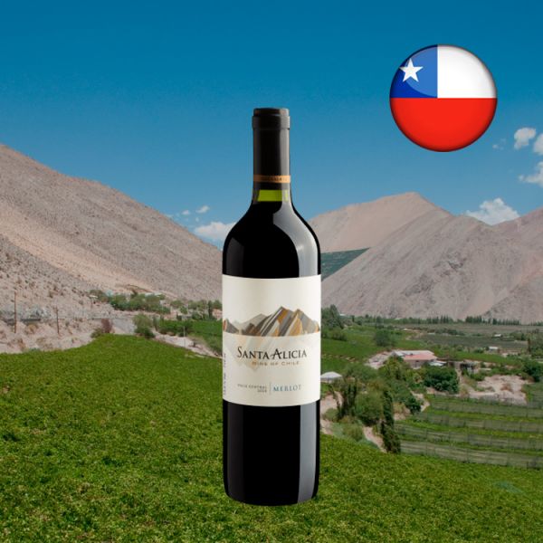 Santa Alicia Merlot Valle Central 2020 - Oferta