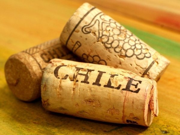 Vinho chileno – Entenda como a bebida ganhou o coração dos brasileiros