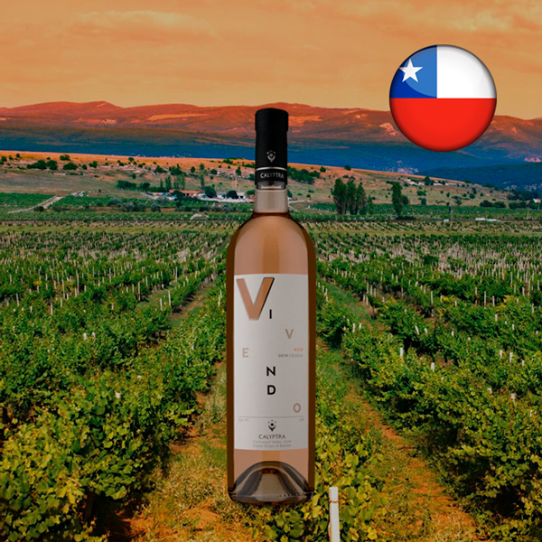 Calyptra Vivendo Reserve Rosé 2019 - Oferta