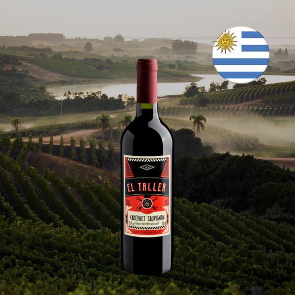 El Taller Cabernet Sauvignon 2020 - Oferta