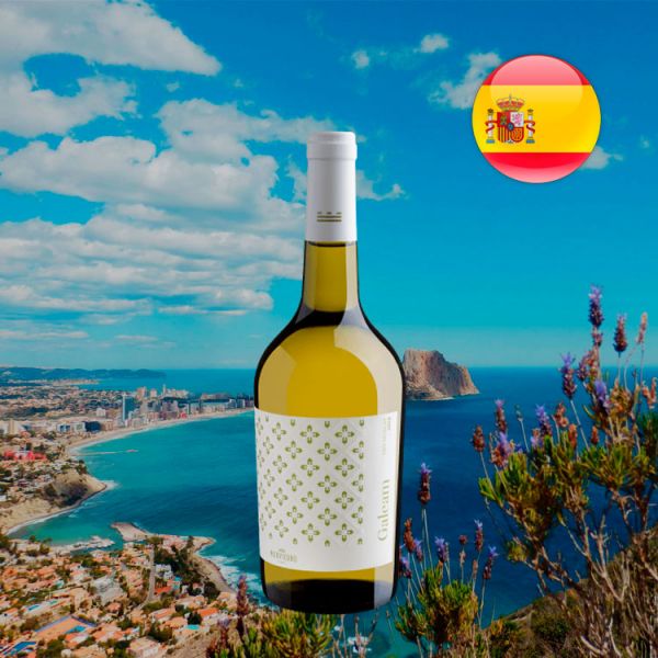 Galeam Muscat Organic Wine 2019 - Oferta