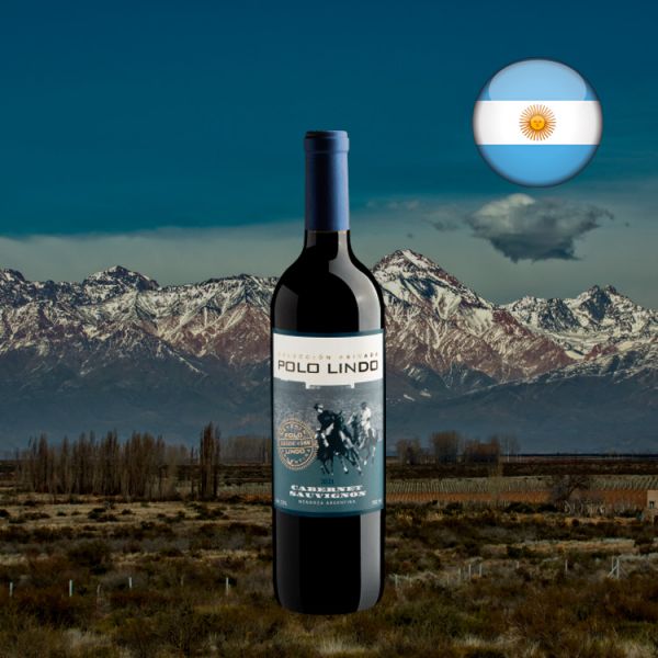 Polo Lindo Colección Privada Cabernet Sauvignon 2021 - Oferta