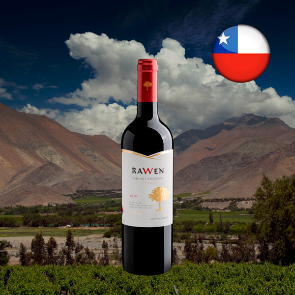 Rawen Cabernet Sauvignon Estate Bottled 2020 - Oferta