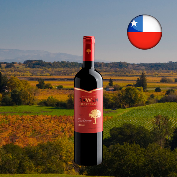 Rawen Reserva Cabernet Sauvignon Estate Bottled 2020 - Oferta
