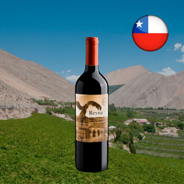 Reyna Cabernet Sauvignon-Merlot Central Valley D.O. 2020 - Oferta