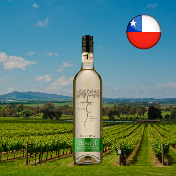 Root: 1 Reserva Sauvignon Blanc 2019 - Oferta