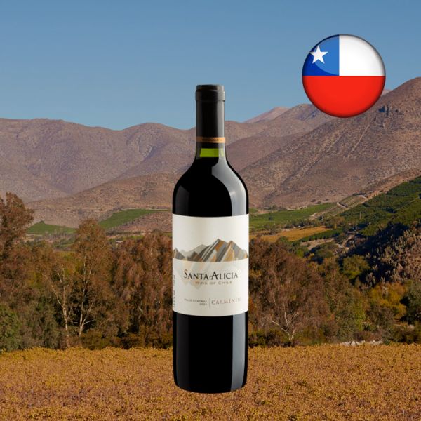 Santa Alicia Carménère Valle Central 2020 - Oferta