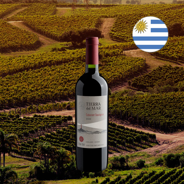 Tierra Del Mar Cabernet Sauvignon 2020 - Oferta