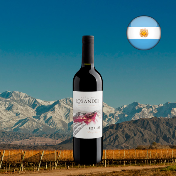 Viña de Los Andes Red Blend 2021 - Oferta