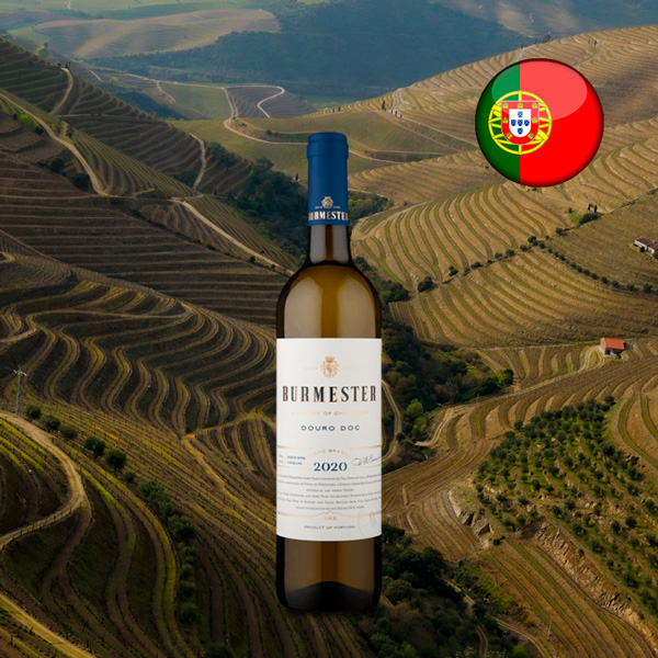 Burmester D.O.C. Douro Branco 2020 - Oferta