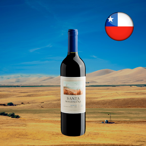 Santa Magdalena Merlot Valle Central D.O. 2020 - Oferta