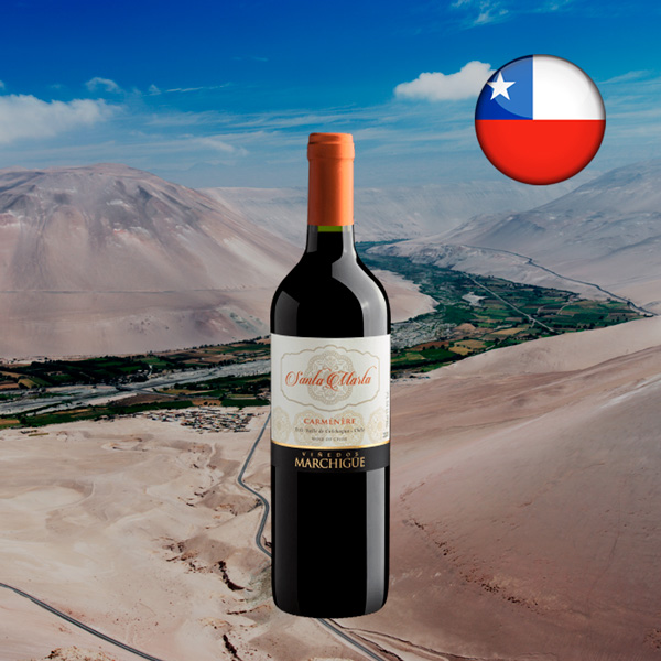 Viñedos Marchigüe Santa Marta Carménère Valle de Colchagua D.O. 2020 - Oferta