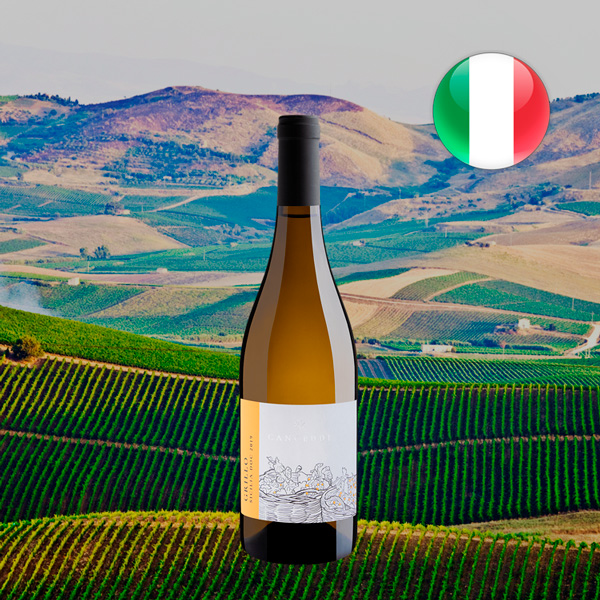 Canceddi Grillo Sicilia DOC 2019 - Oferta