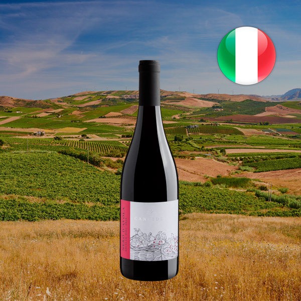 Canceddi Nero D'Avola Sicilia DOC 2019 - Oferta