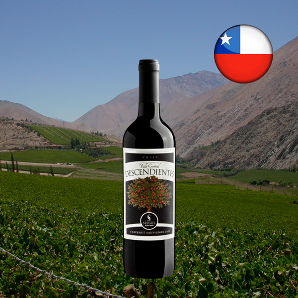 Descendientes Cabernet Sauvignon 2020 - Oferta