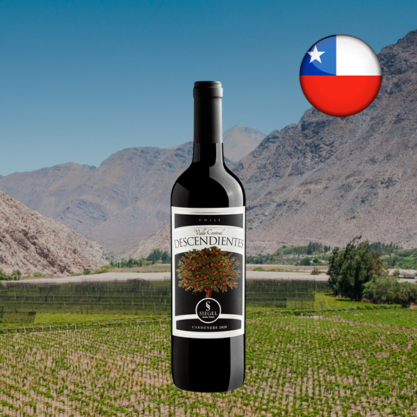 Descendientes Carmenere 2020 - Oferta