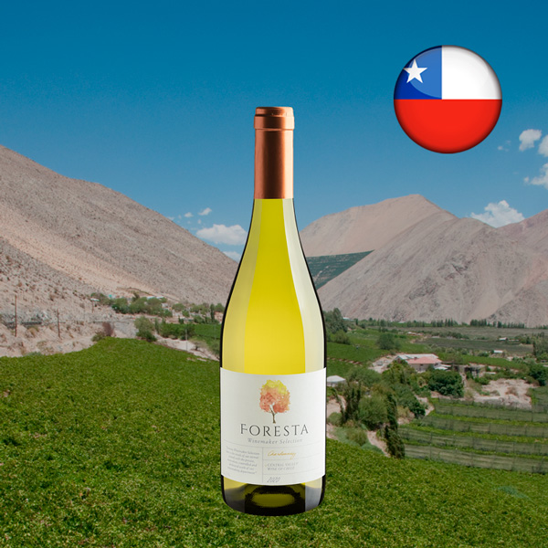 Foresta Winemaker Selection Chardonnay Central Valley D.O. 2020 - Oferta