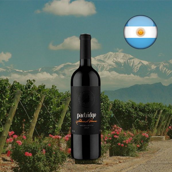 Partridge Selección de Barricas Ancellotta 2017 - Oferta