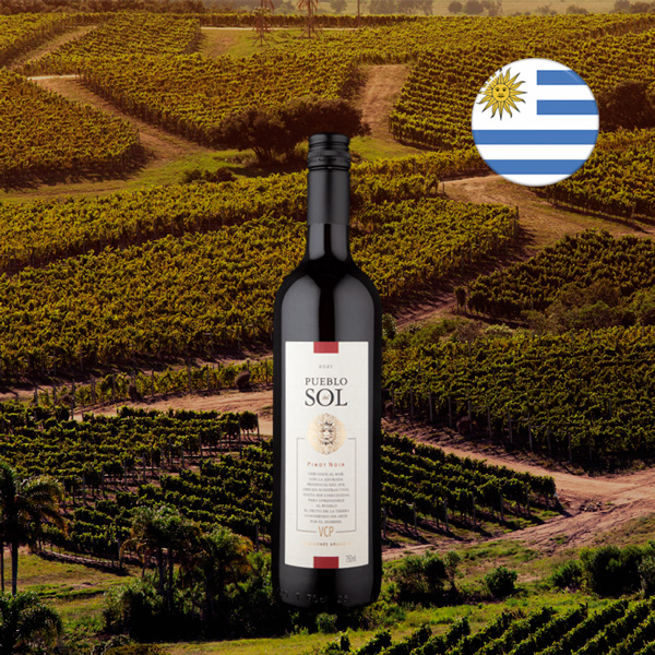 Pueblo del Sol Pinot Noir 2021 - Oferta