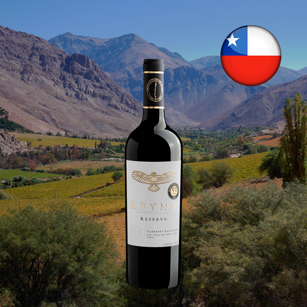 Reyna Reserva Cabernet Sauvignon Valle del Rapel D.O. 2020 - Oferta