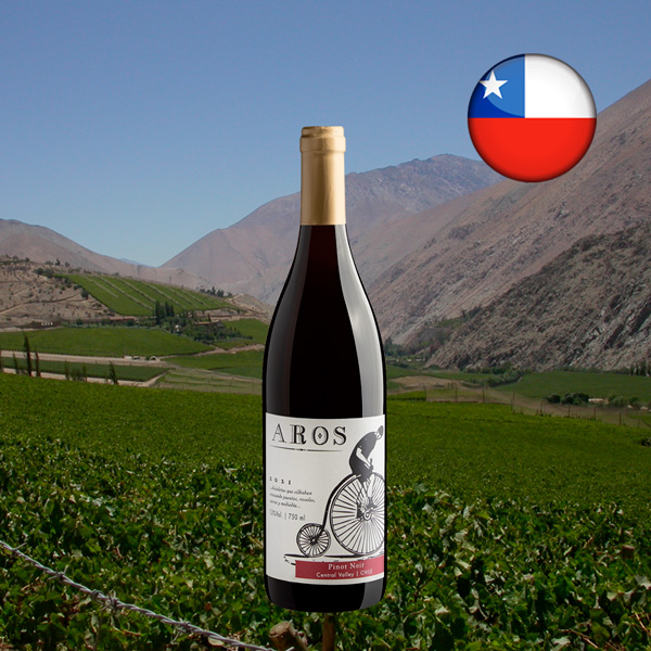 Aros Pinot Noir 2021 - Oferta