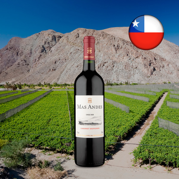 Baron Philippe de Rothschild Mas Andes Cabernet Sauvignon 2020 - Oferta