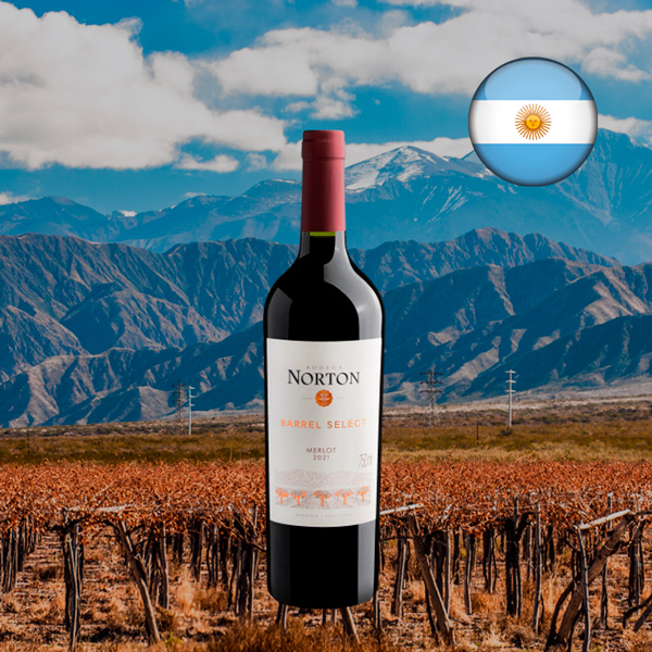 Bodega Norton Barrel Select Merlot 2021 - Oferta