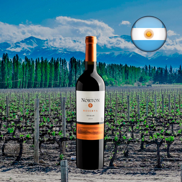 Bodega Norton Syrah Reserva 2019 - Oferta
