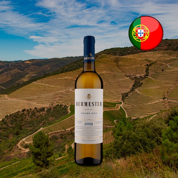 Burmester D.O.C. Douro Branco 2019 - Oferta